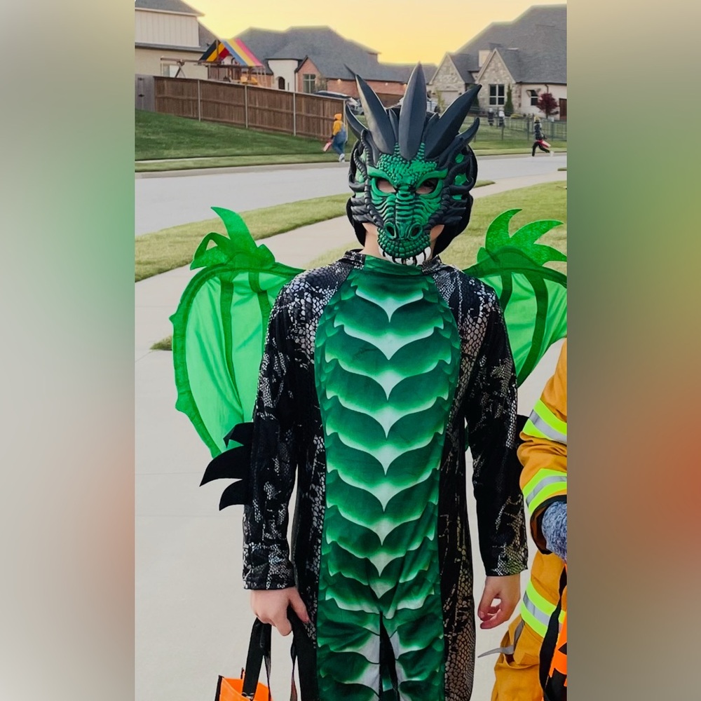 Green Dragon Costume with Wings